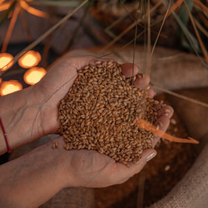 Linas Agro messiboks